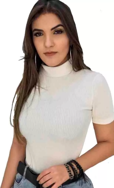 Blusa Gola Alta Inverno